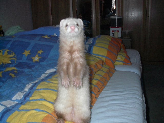 Lenny0001.JPG