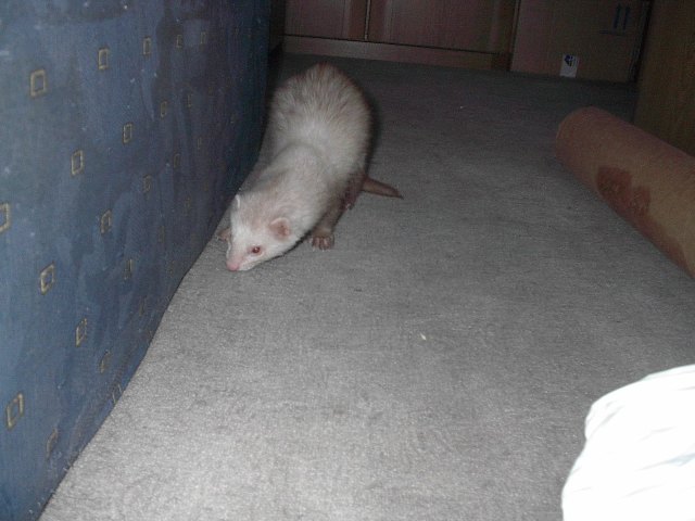 Lenny0002.JPG
