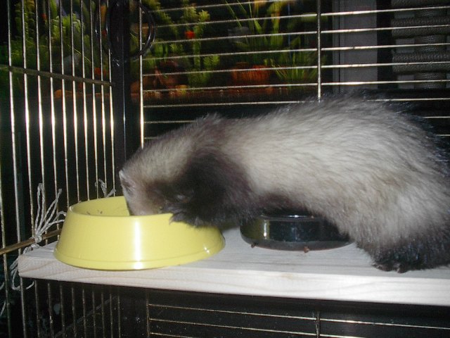IM001060.JPG